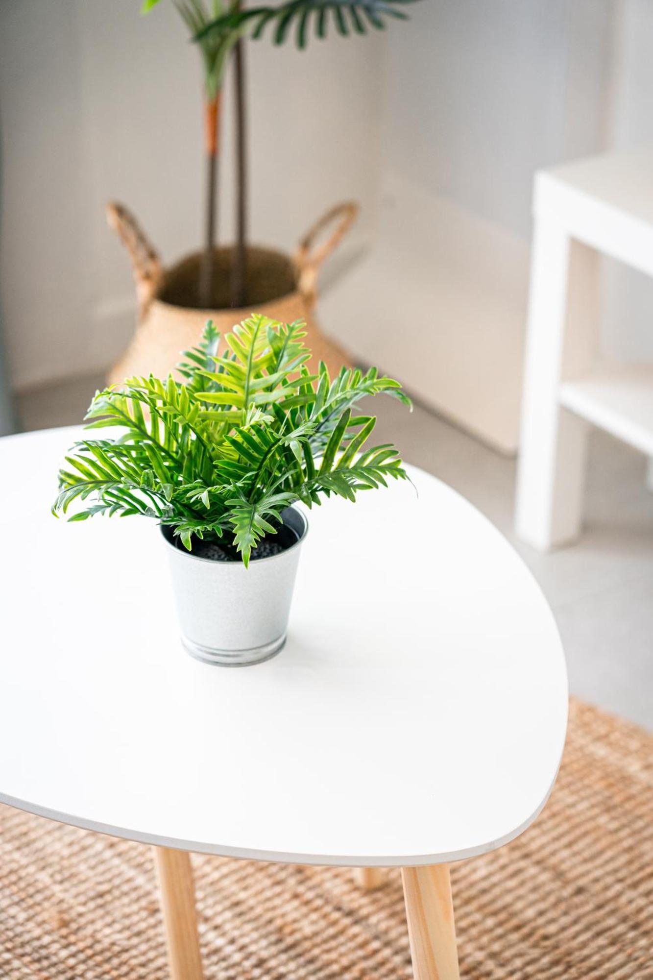 Le Cool'nest - Proche Et Val D'europe 10mn Appartement *